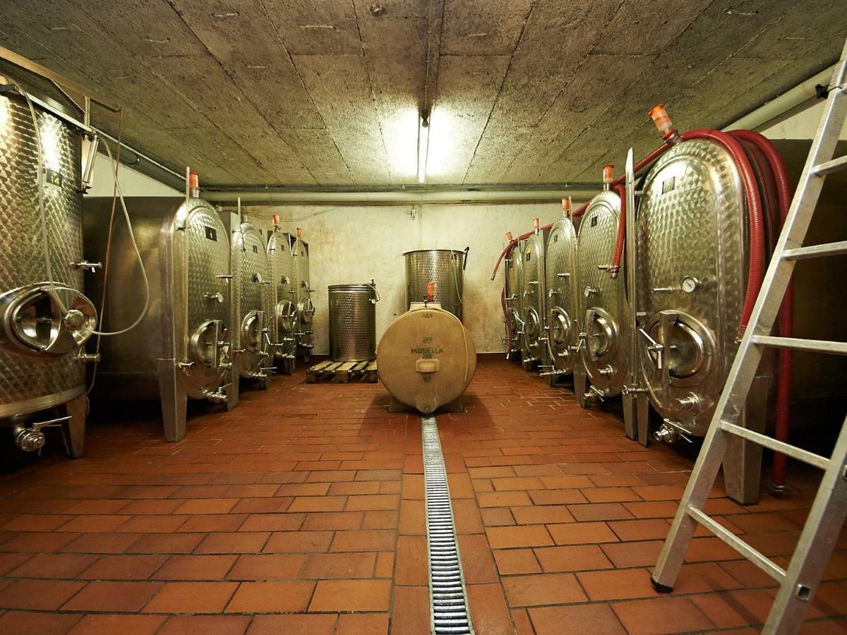 Ferienwohnung-Vinothek Keifer Kinheim エクステリア 写真