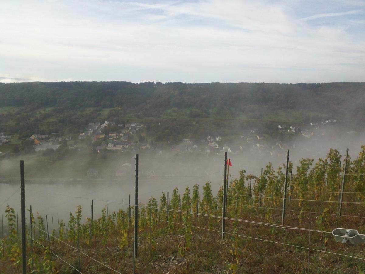 Ferienwohnung-Vinothek Keifer Kinheim エクステリア 写真